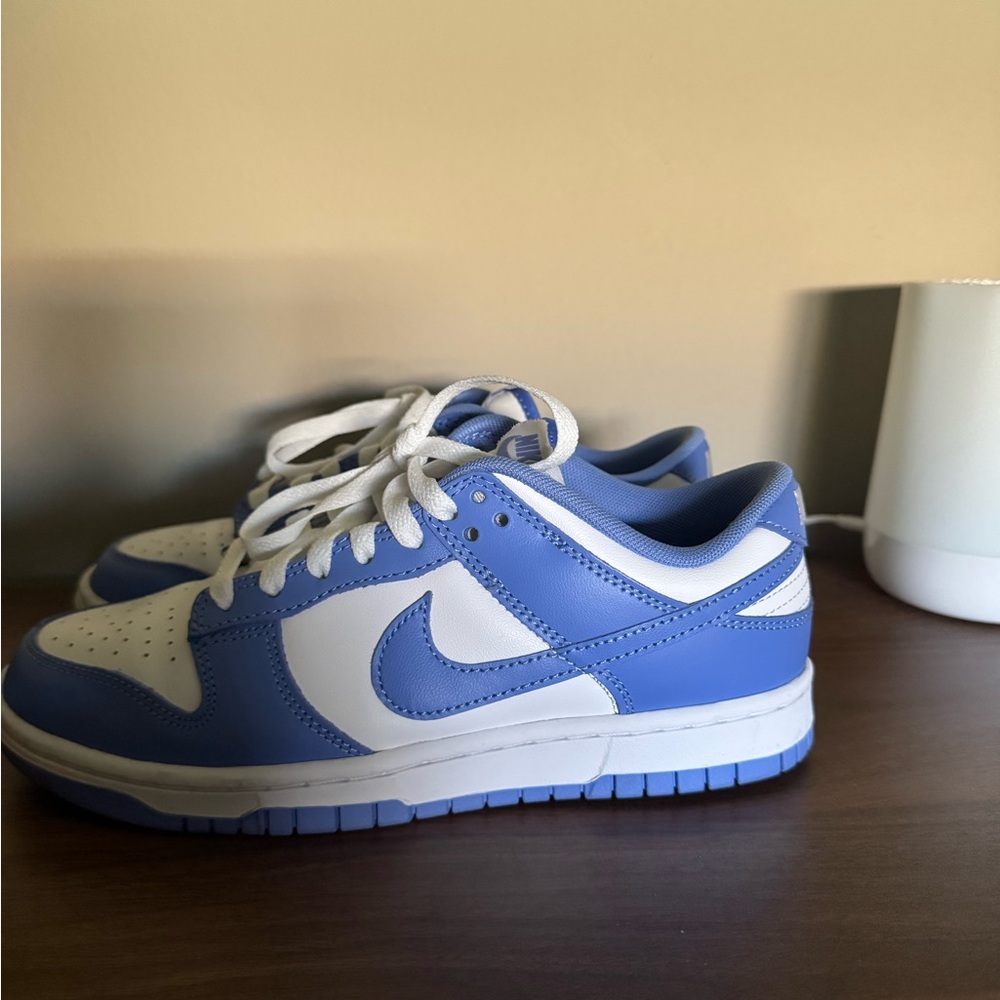 Nike Blue and White Dunk Low Sneakers